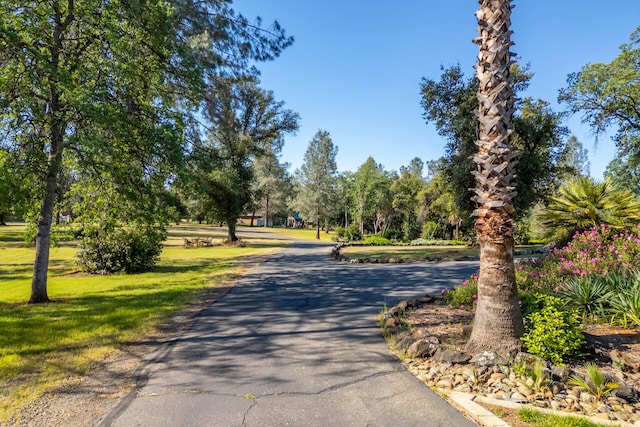 17832 Windsor Ln, Anderson, CA 96007 - photo 54