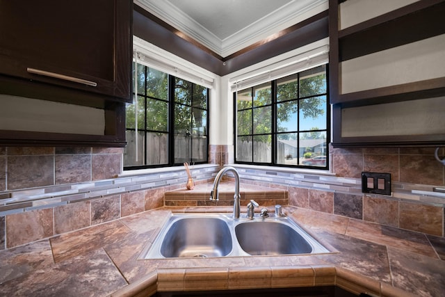 kitchen featuring a sink, ornamental molding, decorative backsplash, and dark brown cabinetry