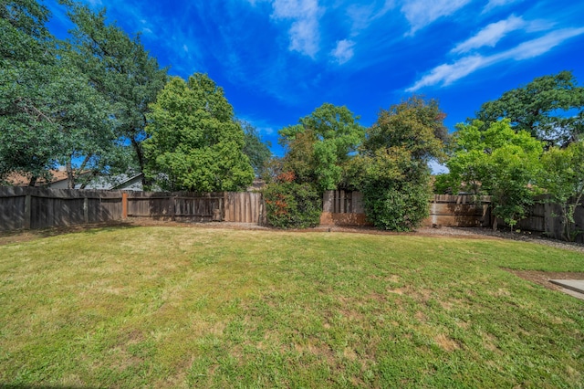 view of yard