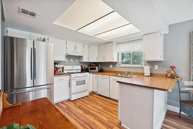 kitchen with stainless steel appliances, under cabinet range hood, a peninsula, a sink, and light wood-style flooring