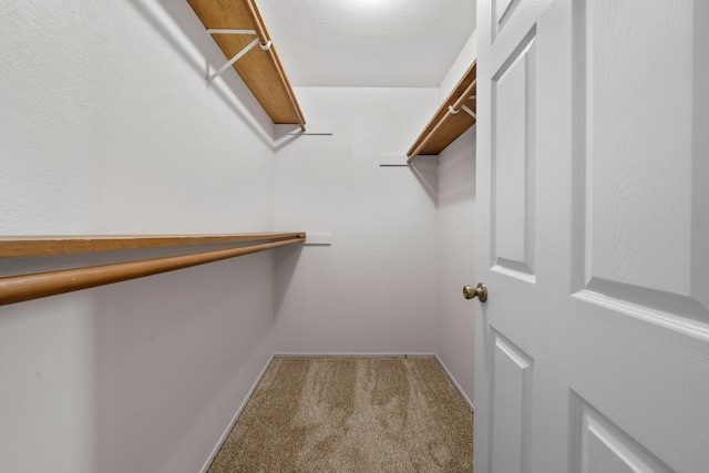 walk in closet featuring carpet