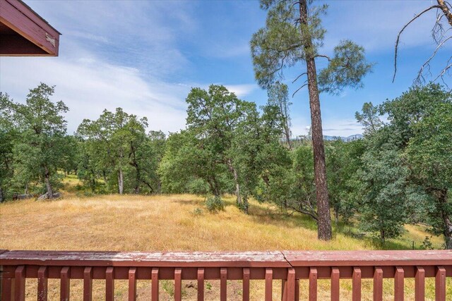 16605 Lassen Ave, Anderson, CA 96007 - view of yard