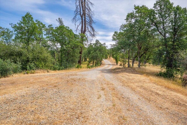16605 Lassen Ave, Anderson, CA 96007 - view of dirt / gravel road