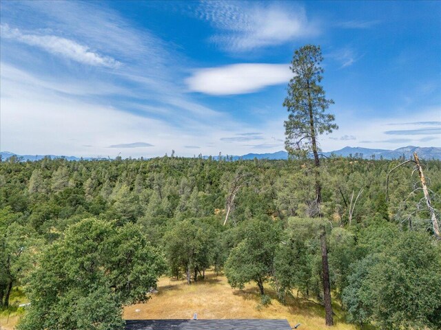 16605 Lassen Ave, Anderson, CA 96007 - view of woods featuring a mountain view