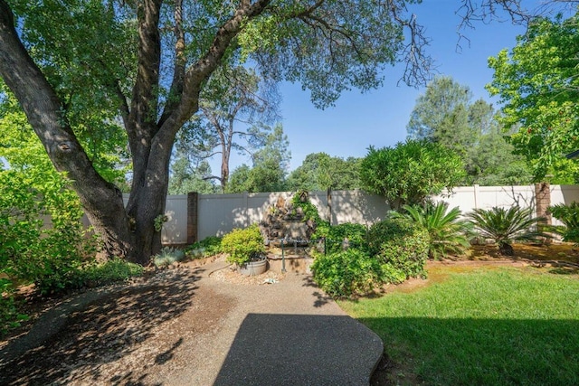 1366 Carla Cir, Redding, CA 96003 - view of yard