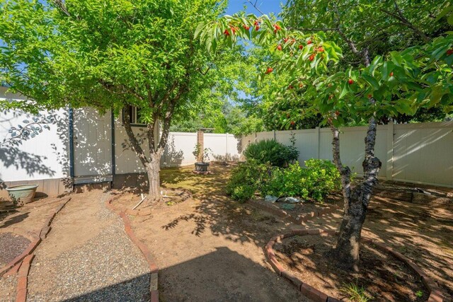 1366 Carla Cir, Redding, CA 96003 - view of fenced backyard