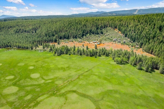 2125 Lava, Mccloud, CA 96057 - aerial view of a heavily wooded area and mountains