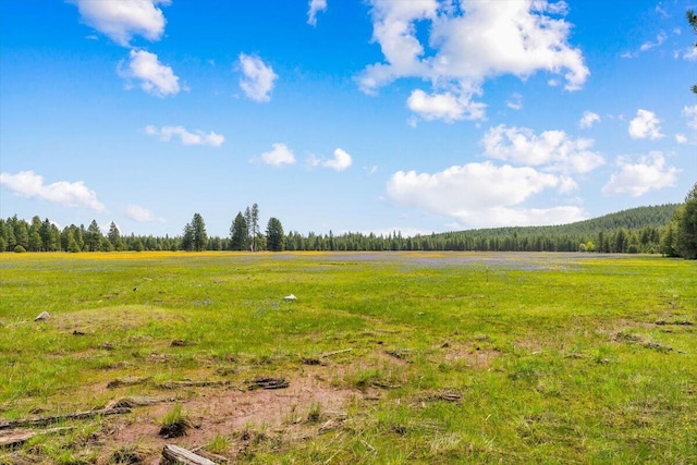 2125 Lava, Mccloud, CA 96057 - view of yard featuring a forest view and a view of rural / pastoral area