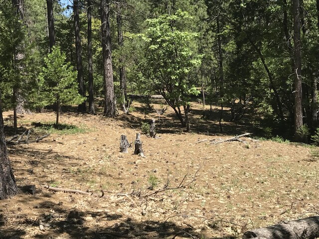 Phillips Rd, Oak Run, CA 96069 - photo 1