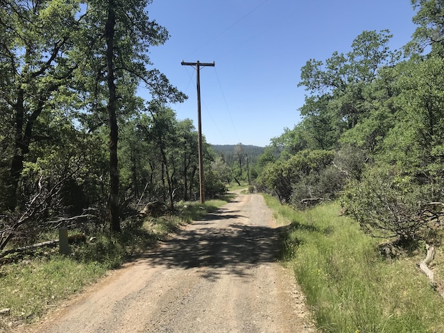 Phillips Rd, Oak Run, CA 96069 - photo 3