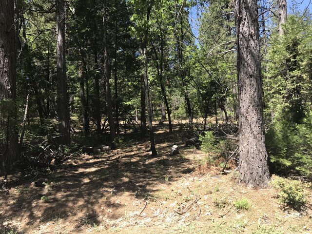 Phillips Rd, Oak Run, CA 96069 - photo 4