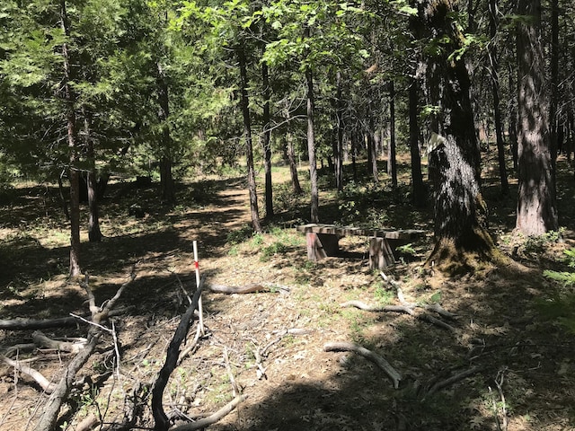 Phillips Rd, Oak Run, CA 96069 - photo 5