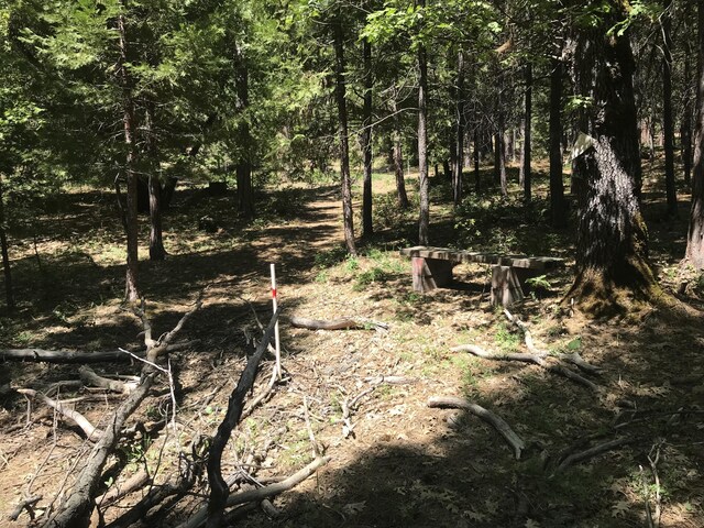 Phillips Rd, Oak Run, CA 96069 - photo 6