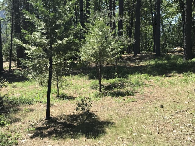 Phillips Rd, Oak Run, CA 96069 - photo 11