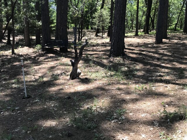 Phillips Rd, Oak Run, CA 96069 - photo 13