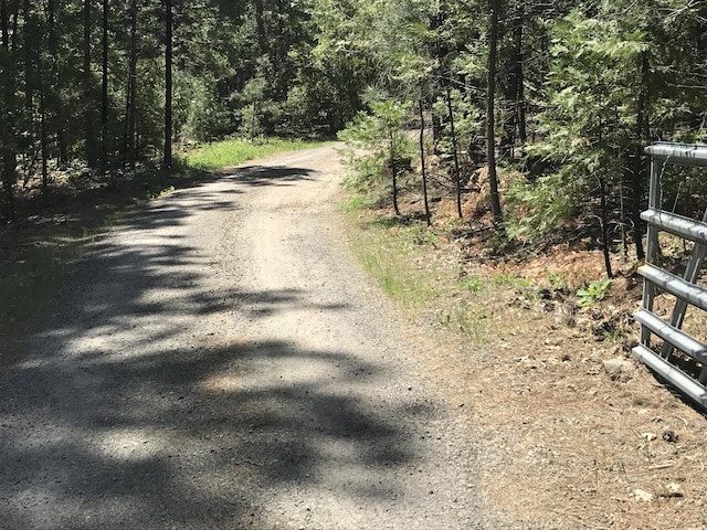 Phillips Rd, Oak Run, CA 96069 - photo 16