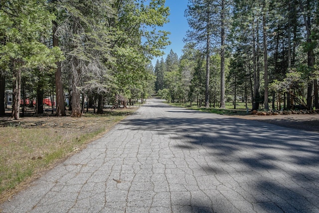 7289 Clarabelle Ln, Shingletown, CA 96088 - view of asphalt street