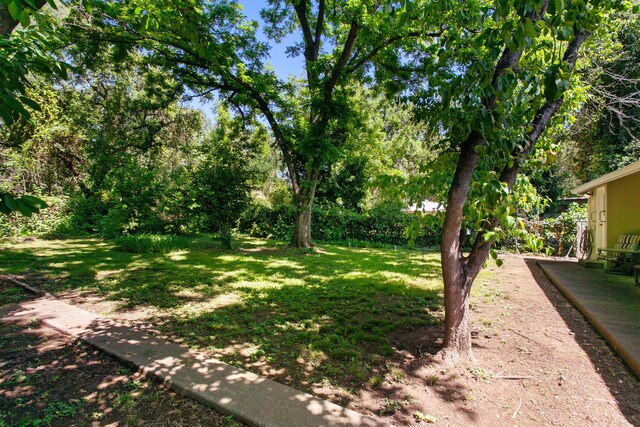 2722 Russell St, Redding, CA 96001 - view of green lawn