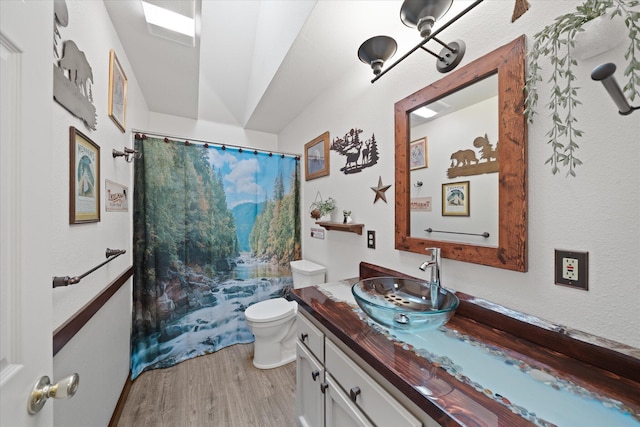37189 Galena Cir, Burney, CA 96013 - bathroom featuring wood finished floors, vanity, and toilet