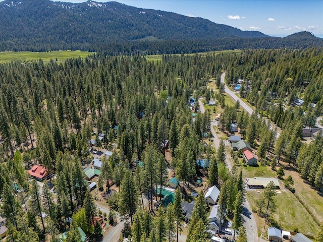 38290 Battle Creek Ave, Mineral, CA 96063 - view of property location with a forest and a mountainous background