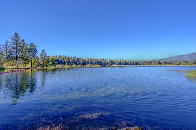 34836 Emigrant Trl, Shingletown, CA 96008 - water view featuring mountains