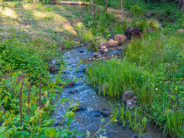 7704 Eastmoore Rd, Shingletown, CA 96088 - view of nature