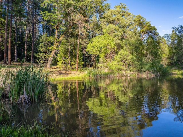 7704 Eastmoore Rd, Shingletown, CA 96088 - water view featuring a heavily wooded area