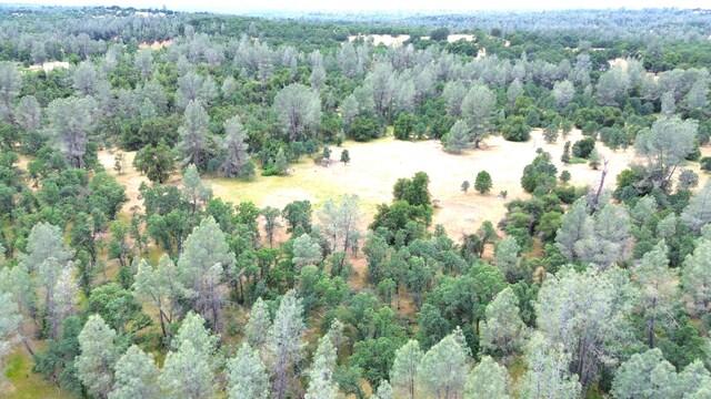 LOT55 Bowman Rd, Cottonwood, CA 96022 - photo 13