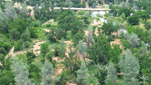 LOT55 Bowman Rd, Cottonwood, CA 96022 - photo 14