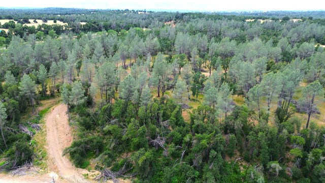 LOT55 Bowman Rd, Cottonwood, CA 96022 - photo 18