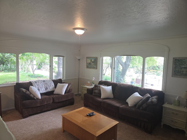 8198 Green Acres Ln, Redding, CA 96002 - living area with carpet floors and a textured ceiling