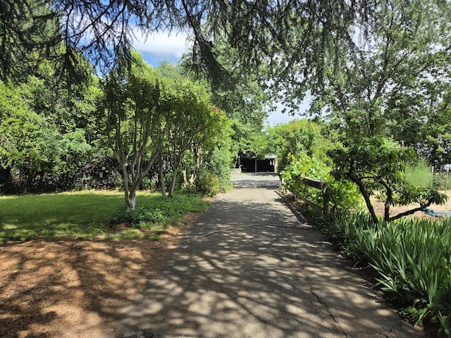8198 Green Acres Ln, Redding, CA 96002 - view of asphalt driveway