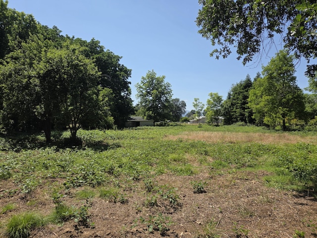 8198 Green Acres Ln, Redding, CA 96002 - view of yard