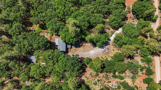 7372 Tahoe Ln, Shingletown, CA 96088 - aerial view of property and surrounding area