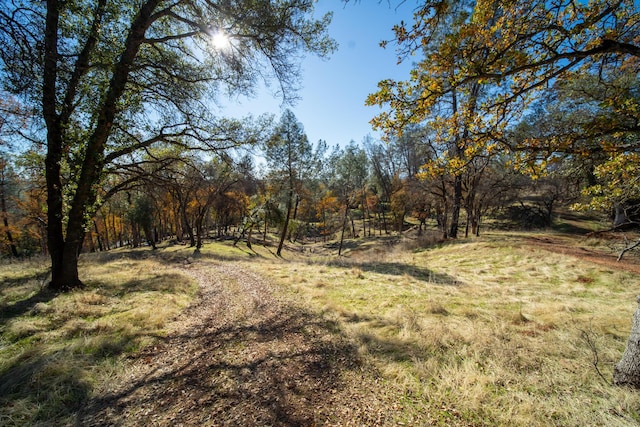 20114 Vernita Dr, Redding, CA 96003 - photo 77