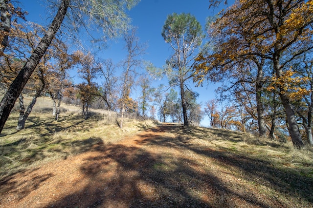 20114 Vernita Dr, Redding, CA 96003 - photo 80