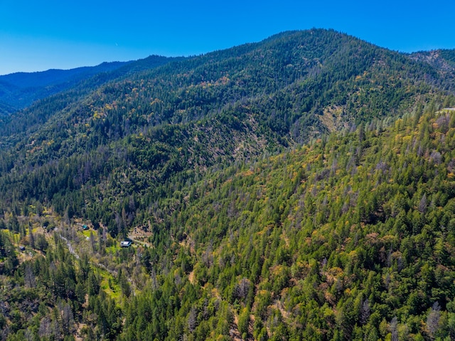 8916 Reading Creek Rd, Douglas City, CA 96024 - view of mountain background with a forest