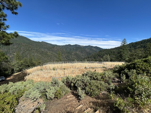 8916 Reading Creek Rd, Douglas City, CA 96024 - view of mountain backdrop with a forest