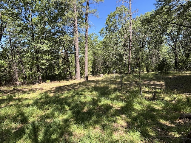 10473 Blue Mountain Ranch Rd, Whitmore, CA 96096 - view of woods