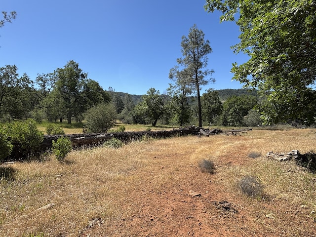 10473 Blue Mountain Ranch Rd, Whitmore, CA 96096 - view of wooded area