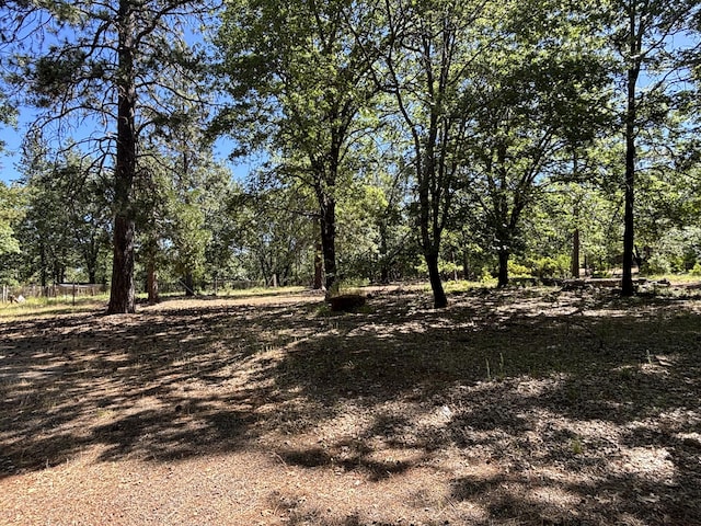 10473 Blue Mountain Ranch Rd, Whitmore, CA 96096 - view of nature
