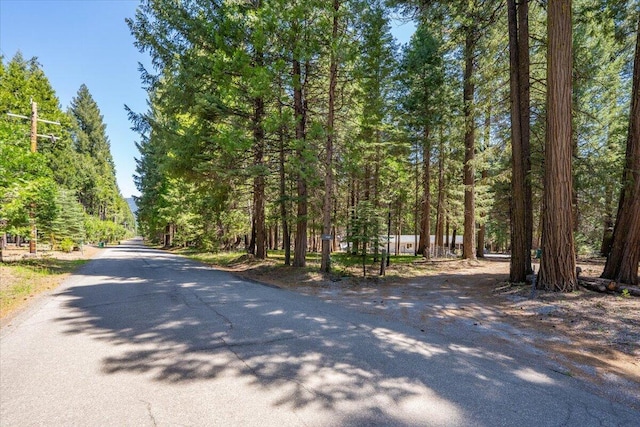 9279 Thatcher Mill Rd, Shingletown, CA 96088 - view of asphalt road with a forest view