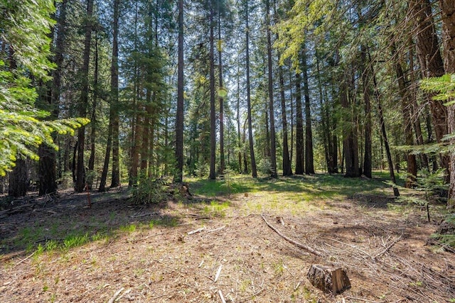 9279 Thatcher Mill Rd, Shingletown, CA 96088 - view of wooded area