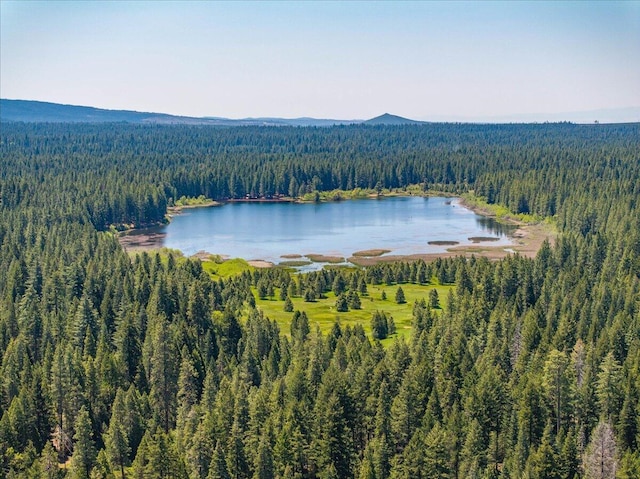9279 Thatcher Mill Rd, Shingletown, CA 96088 - aerial view of a forest and a large body of water