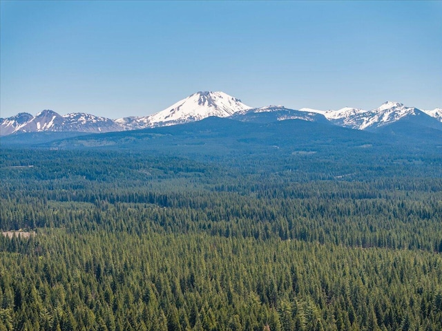 9279 Thatcher Mill Rd, Shingletown, CA 96088 - mountain view featuring a forest
