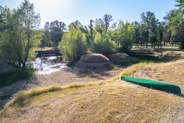 10844 Green Oaks Ln, Redding, CA 96003 - view of yard with a water view