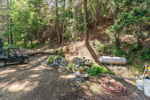2940 Dutch Creek Rd, Junction City, CA 96048 - photo 28