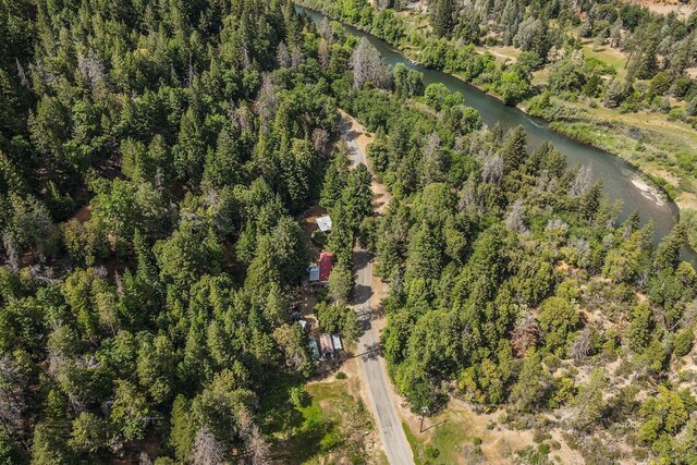 2940 Dutch Creek Rd, Junction City, CA 96048 - photo 41