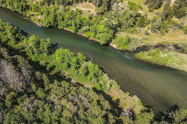 2940 Dutch Creek Rd, Junction City, CA 96048 - photo 42