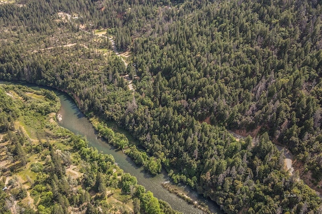 2940 Dutch Creek Rd, Junction City, CA 96048 - photo 43
